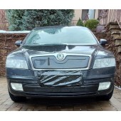 Зимова накладка на решітку (нижня) для Skoda Octavia II A5 2006-2010