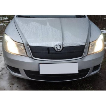 Зимова накладка на решітку (нижня) для Skoda Octavia II A5 2010-2013