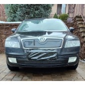 Зимняя накладка на решетку Skoda Octavia A5 2004-2010 (низ)