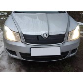 Зимняя накладка на решетку Skoda Octavia A5 2010+ (низ)