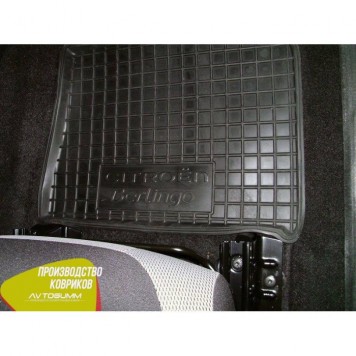 Автомобільні килимки в салон для Citroen Berlingo (2010>)-3