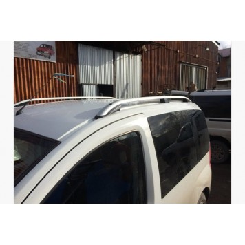 Рейлинги на крышу Peugeot Bipper 2008 Skyport V1 -1