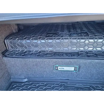 Автомобільний килимок в багажник Ford Fusion 2017- plug-in hybrid-1