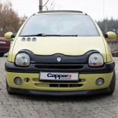 Дефлектор капоту Renault Twingo 1992-2007 EuroCap